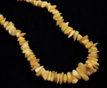 A single strand yellow amber necklace, each piece of jagged form, gross 38 grams, 25in.