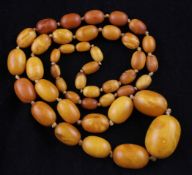 A single strand graduated yellow amber bead necklace, gross weight 45 grams, 26in.