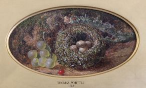 Thomas Whittle (1854-1968)oil on millboard,Chaffinch nest and grapes,signed and dated 1863,framed
