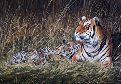 § Chris Christoforou (1954-)watercolour and gouache,Tiger and cubs in grass,signed and dated `95,