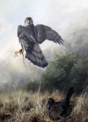 Andrew Ellisgouache,Sparrowhawk and Blackbird,signed and dated `94,18 x 14.5in.