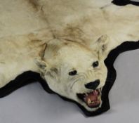 A lioness skin rug, c.1930/40`s, the mounted head with open jaw, later stitched to a black felt