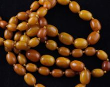 A graduated amber bead necklace, gross weight 68 grams, 42in.