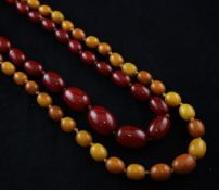 A single strand graduated yellow amber bead necklace, 24in, together with red bakelite? bead