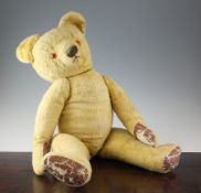 A large yellow plush covered teddy bear, probably Chad Valley, with growling tummy, padded paws