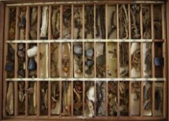 A Cabinet of Materia Medica by Evans, Lescher and Evans, a mahogany case containing two contents