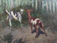 Géza Peske (1859-1934)oil on board,Study of two goats in woodland,signed,16.5 x 21in.