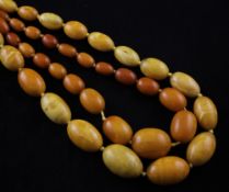 Two single strand graduated yellow amber bead necklaces, one with yellow metal clasp, 29in and 34in,