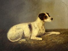 Early 19th century English Schooloil on wooden panel,Portrait of a seated dog,9.5 x 13in.