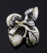 A Japanese ivory netsuke of nuts upon a branch, with a shoot to one end, engraved two character