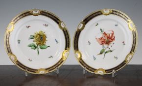 A pair of Vienna botanical specimen plates, c.1808, the first painted with an orange lily, the