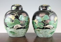 A pair of Chinese famille noire globular jars and covers, early 20th century, each modelled in