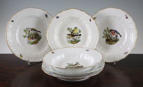 Six Meissen ornithological plates, 19th century, comprising two soup plates and four deep plates,