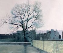 Annie Ovenden (1945-)oil on board,Tree at Pulteney Bridge, Bath, 1980signed and dated,14 x 17in.