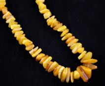 A single strand graduated free form amber bead necklace, gross 100 grams, 30 in.