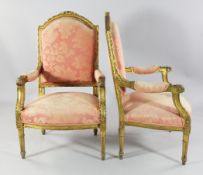 A pair of Louis XVI style French giltwood armchairs, with open arms and stiff leaf carved