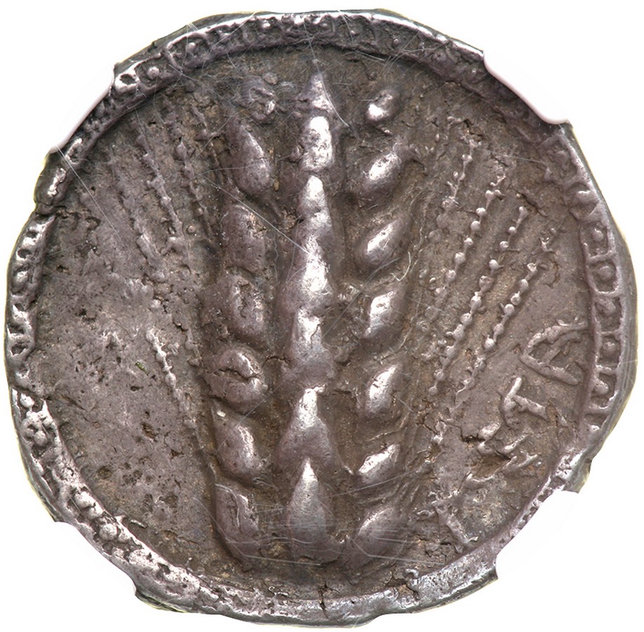 Lucania, Metapontion. Silver Nomos (8.06 g), ca. 510-470 BC. Barley ear of seven grains. Reverse: