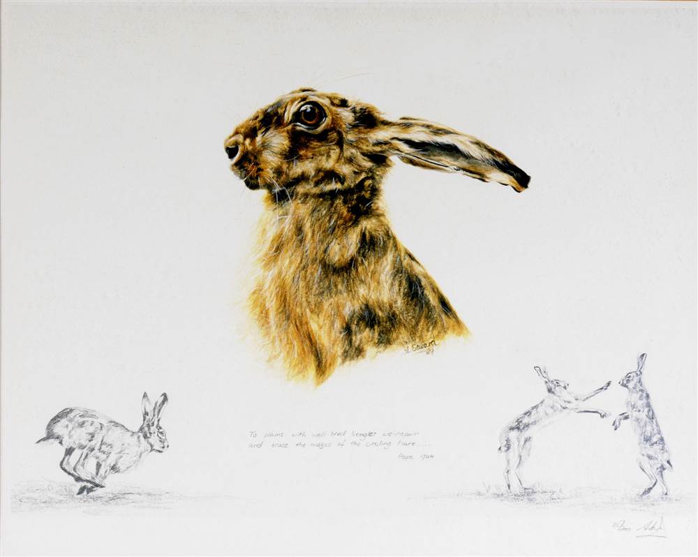 AFTER A. SEWARD Hare Studies, two limited edition prints, No. 35/200 and 5/100, both signed and