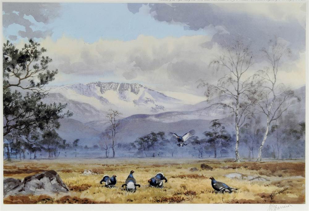 AFTER J.C. HARRISON Black cock in the Highlands A limited edition colour print, No. 239/500,