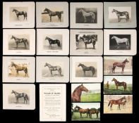 A collection of stud cards and postcards of racehorses,
stud cards 1930s and including for