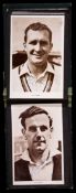 1950 Cricket autographs,
in four autograph books, good representation of teams and stars of the day;