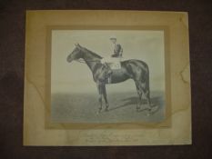 A group of four original photographs of racehorses by the leading equestrian photographer W W