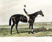 After Sidney R Wombill (1857-1916)
PORTRAIT OF AYRSHIRE, THE 1888 DERBY WINNER
aquatint engraved