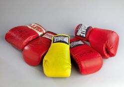A collection of eight boxing gloves.
comprising: i) a multi-signed boxing glove, a red Everlast