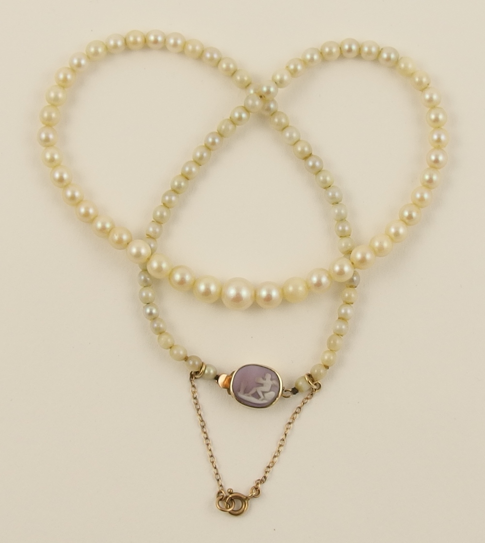 A string of cultured pearls with a purple and white shell cameo clasp mounted in yellow metal