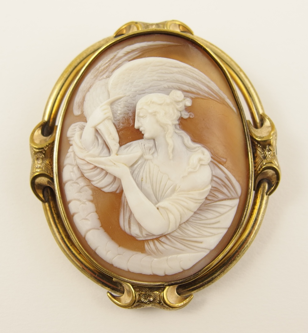 A large shell cameo depicting a classical maiden with an eagle probably Hera with Zeus`s eagle. In