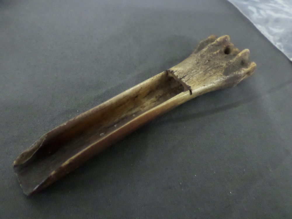 Viking bone apple corer/scoop originally found in old excavations near Hungate in York. 120mm.