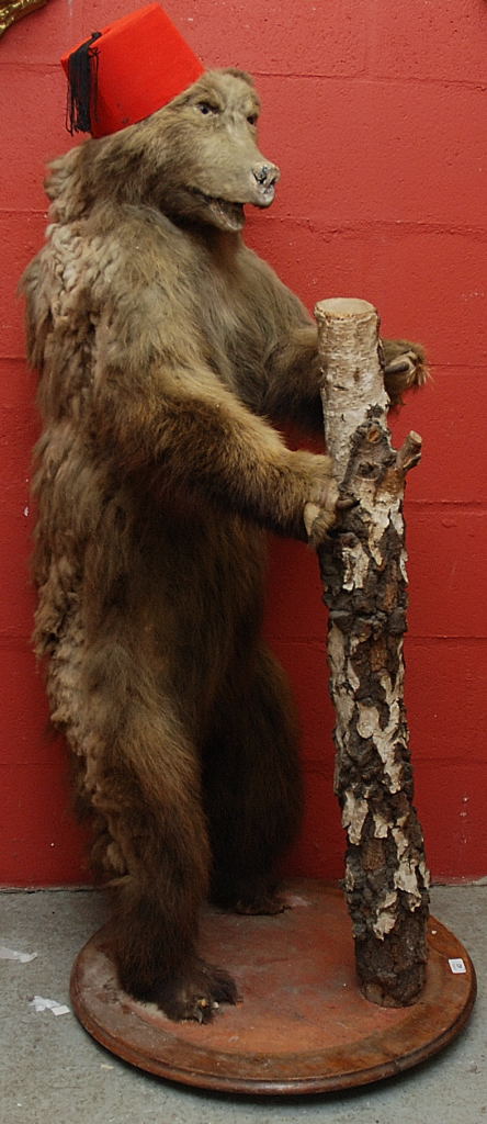 TAXIDERMY SPECIMEN OF A VICTORIAN STANDING BROWN BEAR, 133CM TALL