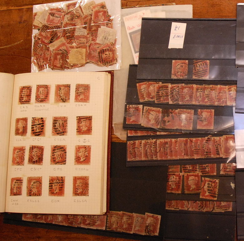 GB PERFINS: PENNY RED PLATES, ALL USED, IN ALBUM, ON CARDS AND LOOSE (500+)