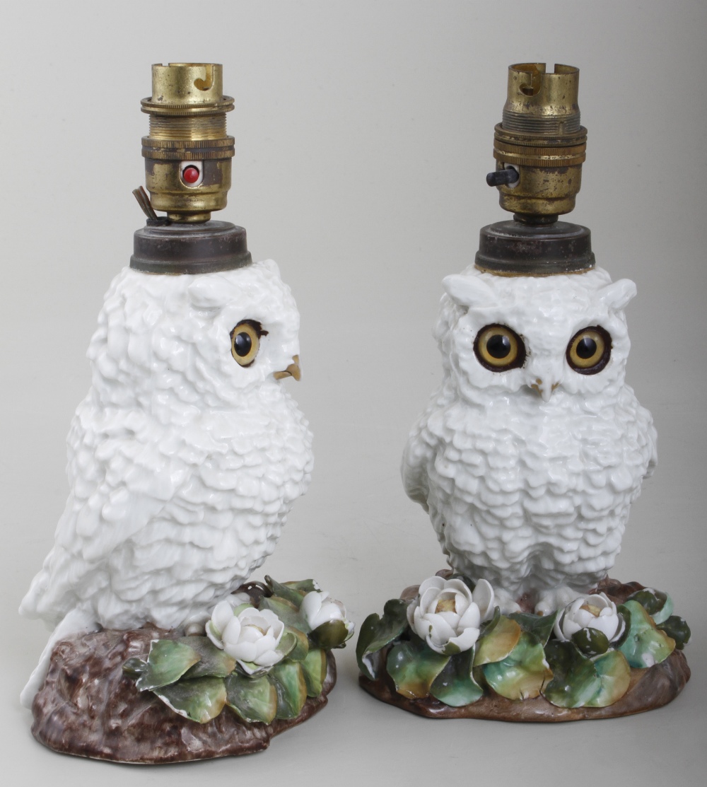 A pair of late 19th century European porcelain owl design oil lamps, on floral encrusted bases (