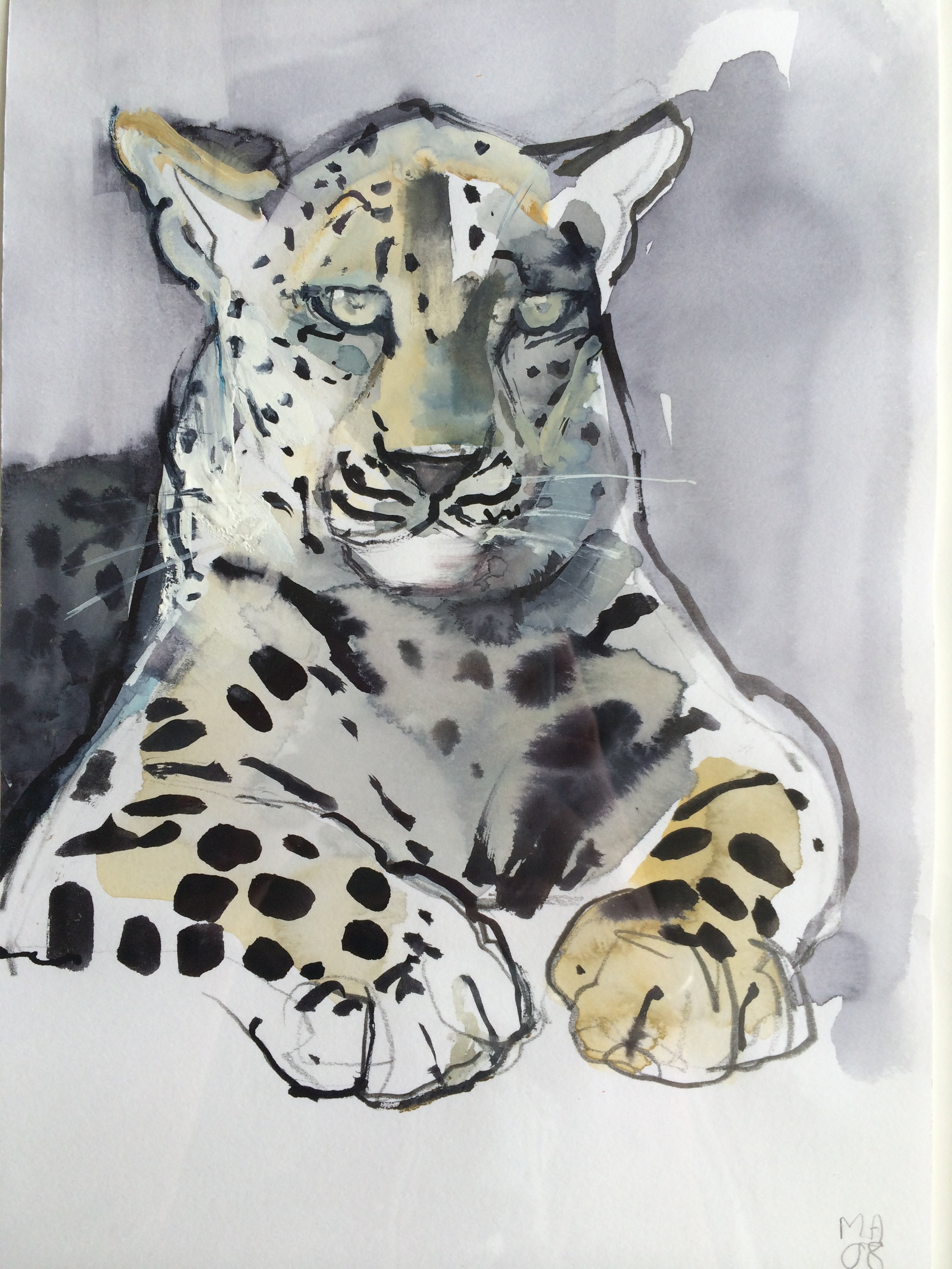 Mark Adlington Arabian Leopard signed with initials and dated 08 watercolour and gouache on paper,