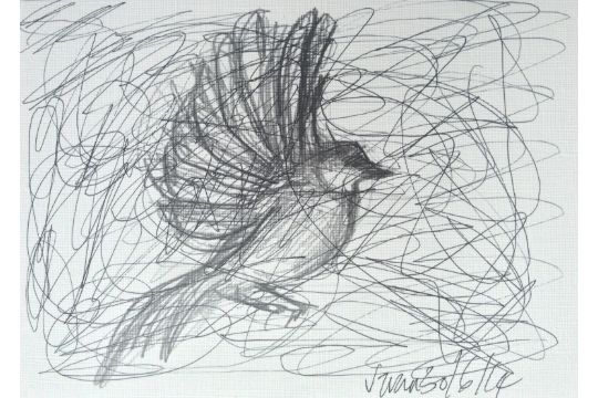 Vivianne Train (Senior Fashion Designer for Max Studio UK) Untitled (Bird in flight to the left)