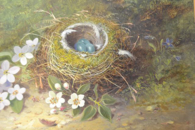 19th century school - Bird's nest and flowers - 23x30cm oil painting on card, indistinctly signed