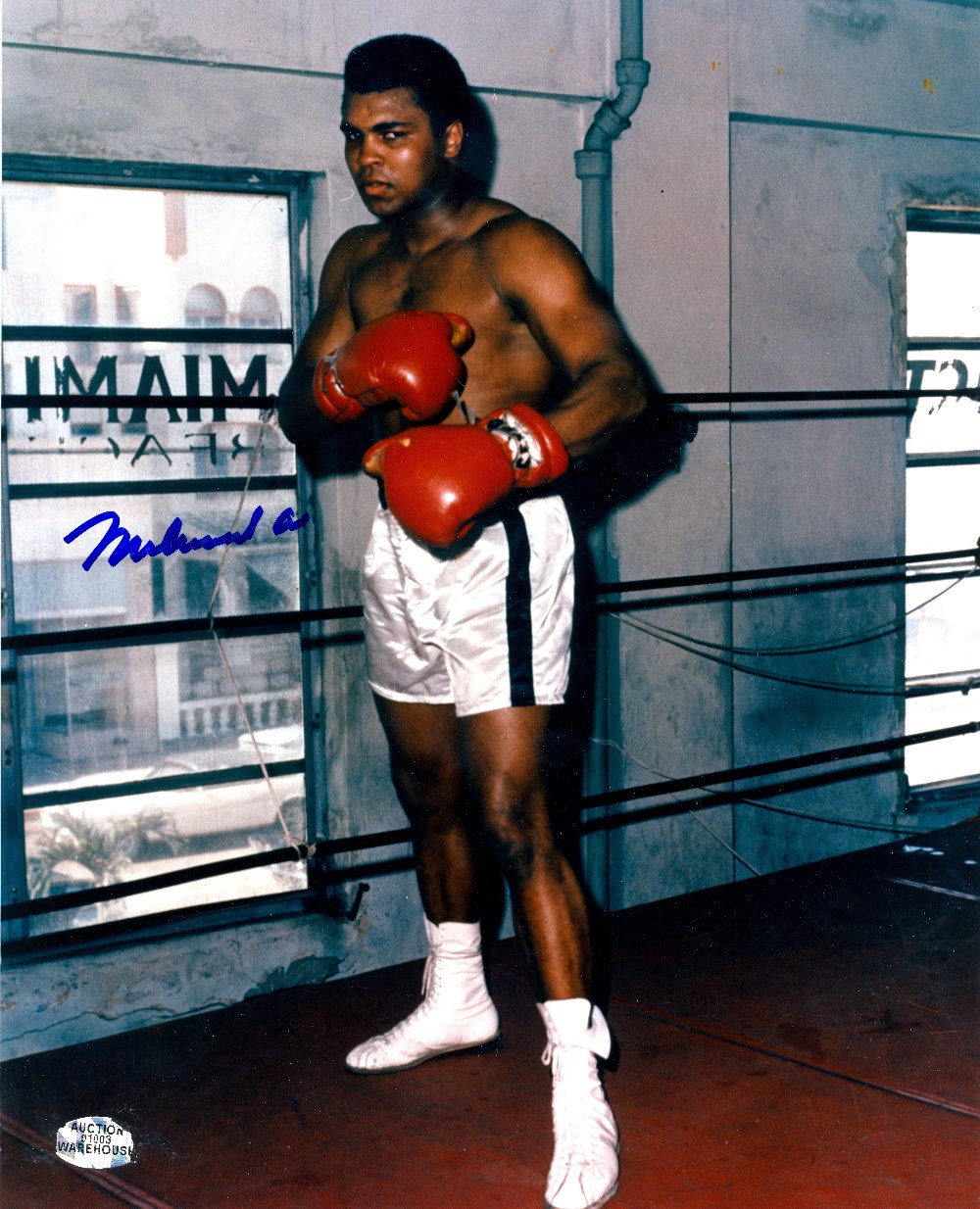 ALI MUHAMMAD: (1942-  ) American Boxer, World Heavyweight Champion. Signed colour 8 x 10