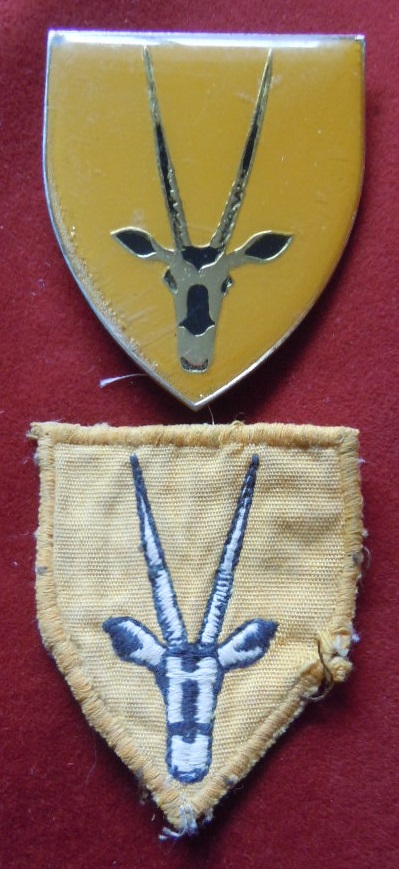 South African Arm Badges- Yellow shield on gilt, antelopes mash in black.  (C.R.Owen 111, 8TH S.A.