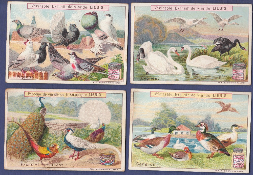 Liebig Farmyard Birds 1899 set 6 S0607 vg