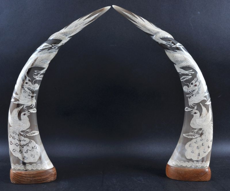 A PAIR OF MID 20TH CENTURY CHINESE CARVED HORNS decorated with dragons and birds. 18.5ins high.