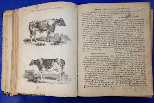 19th cent book 'An Improved System of Management of Live Stock & Cattle or A Practicle guide ......'