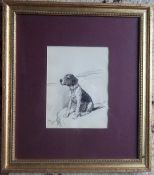 Cecil Aldin pen & ink study of a hound "I sit in the front" on ivorine signed 28 cm x 32 cm