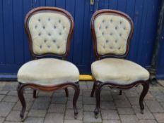 2 Vict button back velvet chairs with cabriole legs