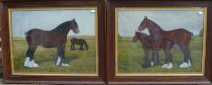 Pr of framed oil on canvas 'Tumby Star & Foal' and 'Burwell Jewel & Flower' by F Thurlby.