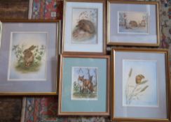 5 wildlife watercolours by Deborah Thorpe