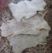 2 sheepskin rugs & an animal pelt