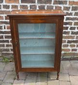 Sm early 20th cent display cabinet