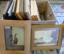 Sixteen various framed pictures