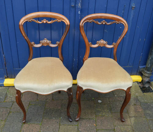 2 Vict rosewood balloon back chairs with cabriole legs